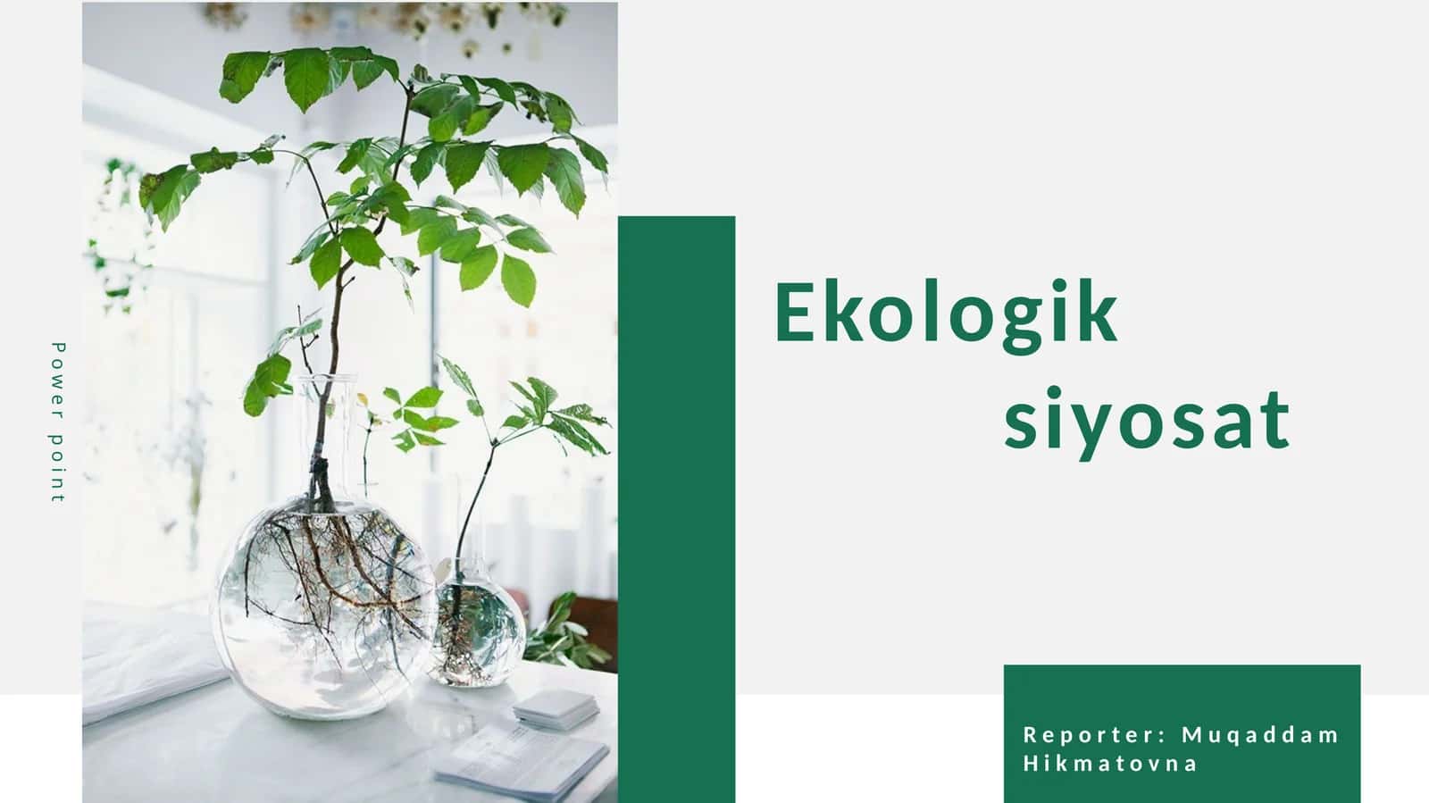Ekologik siyosat
