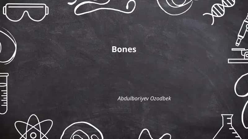 Bones