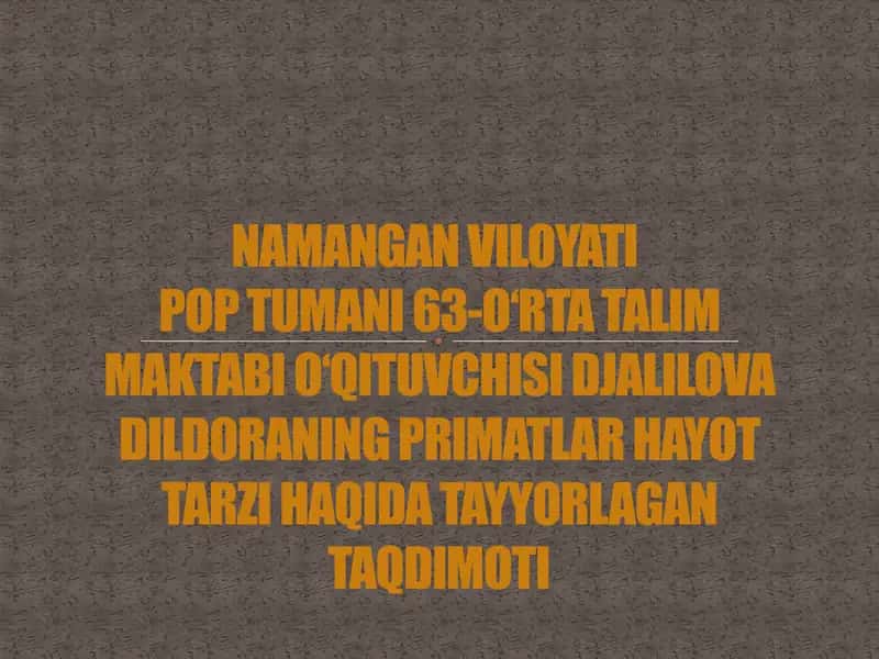Primatlar hayot tarzi taqdimoti
