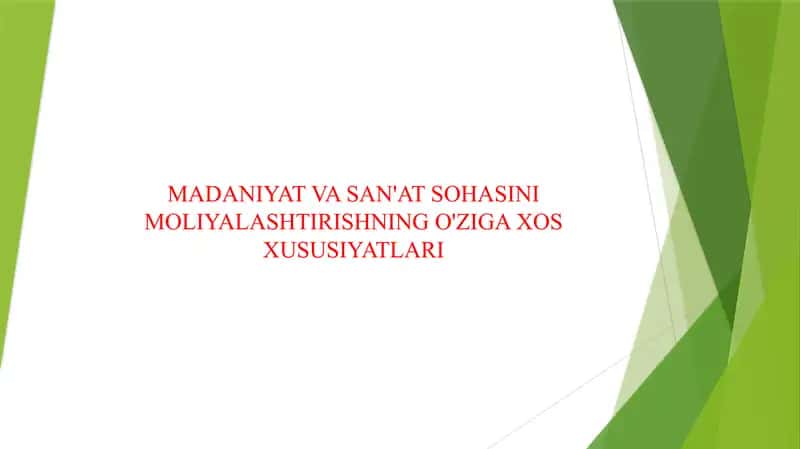 MADANIYAT VA SAN'AT SOHASINI MOLIYALASHTIRISHNING O'ZIGA XOS XUSUSIYATLARI