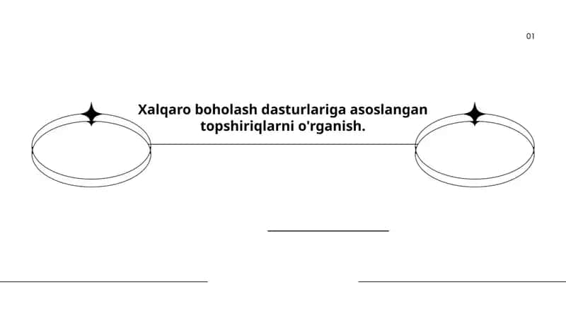 Xalqaro boholash dasturlari: tushunchasi va turlari
