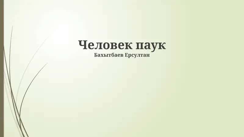 Человек паук