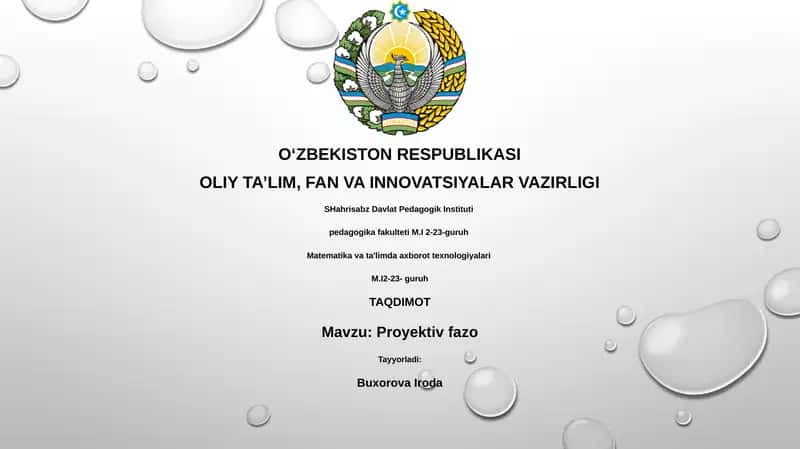 Proyektiv fazo