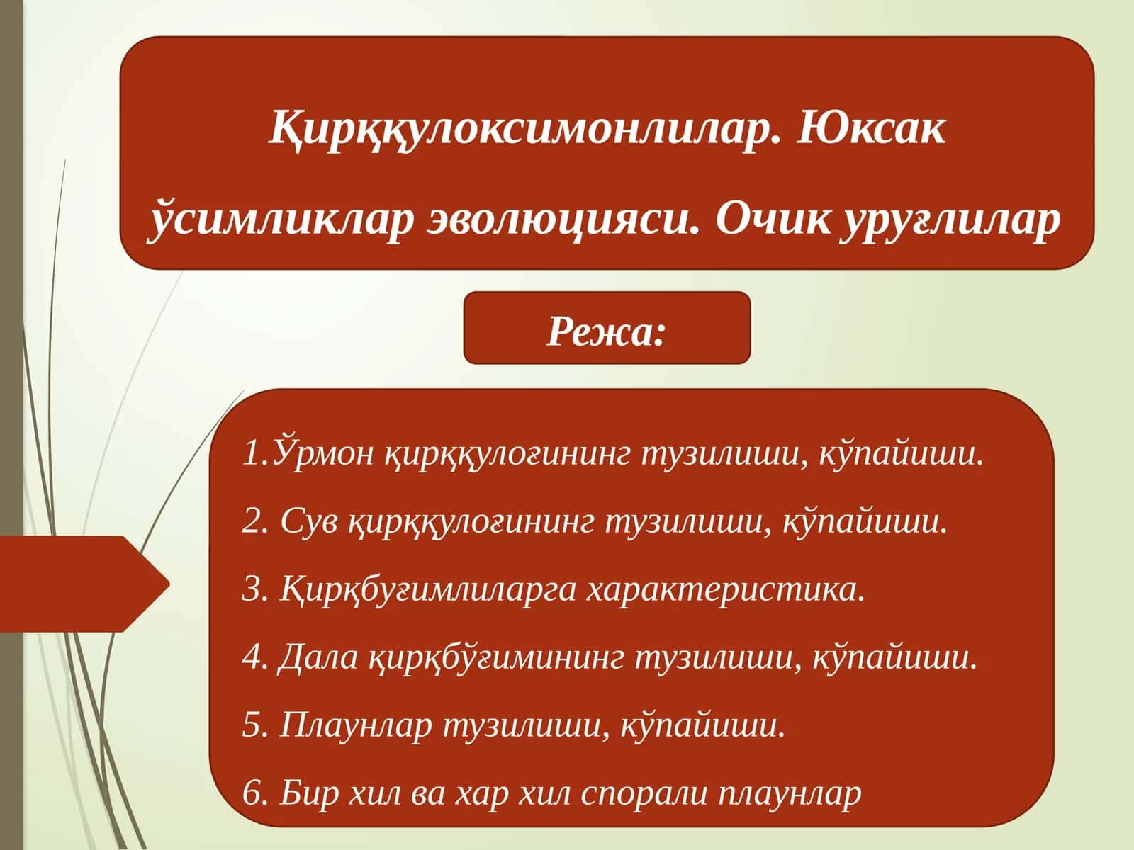 Қирққулоксимонлилар. Юксак ўсимликлар эволюцияси. Очик уруғлилар