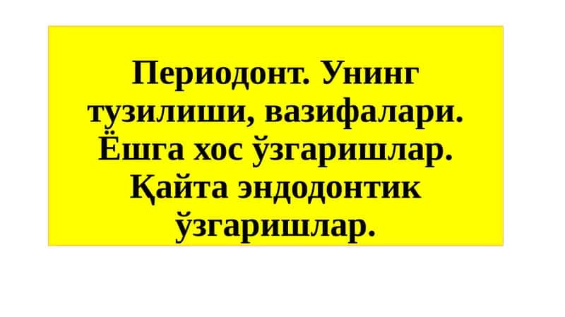 Периодонт
