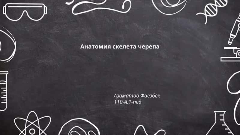 Анатомия скелета черепа