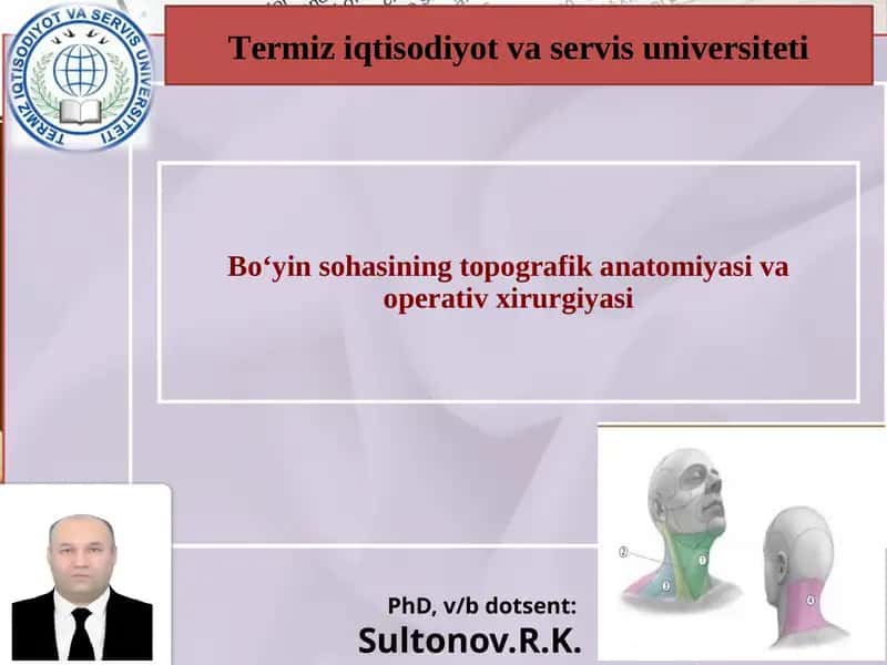 Boʻyin sohasi klinik anatomiyasi