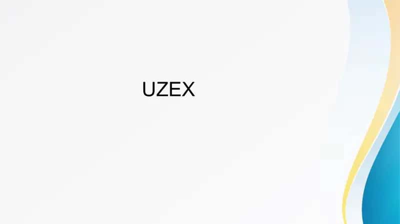 UZEX Korporativ boshqaruv