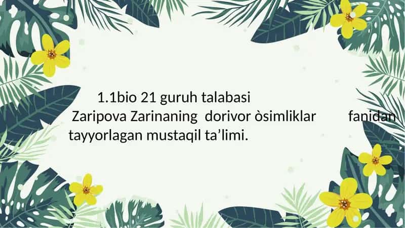 o'rta Osiyo allomalarining dorivor o'simliklarni o'rganishga qo'shgan hissasi