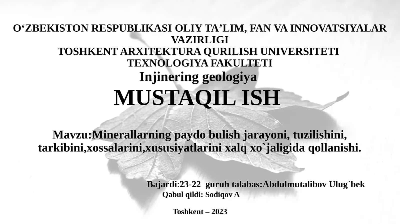 Teknologiya Fakulteti - Injinggeologiya