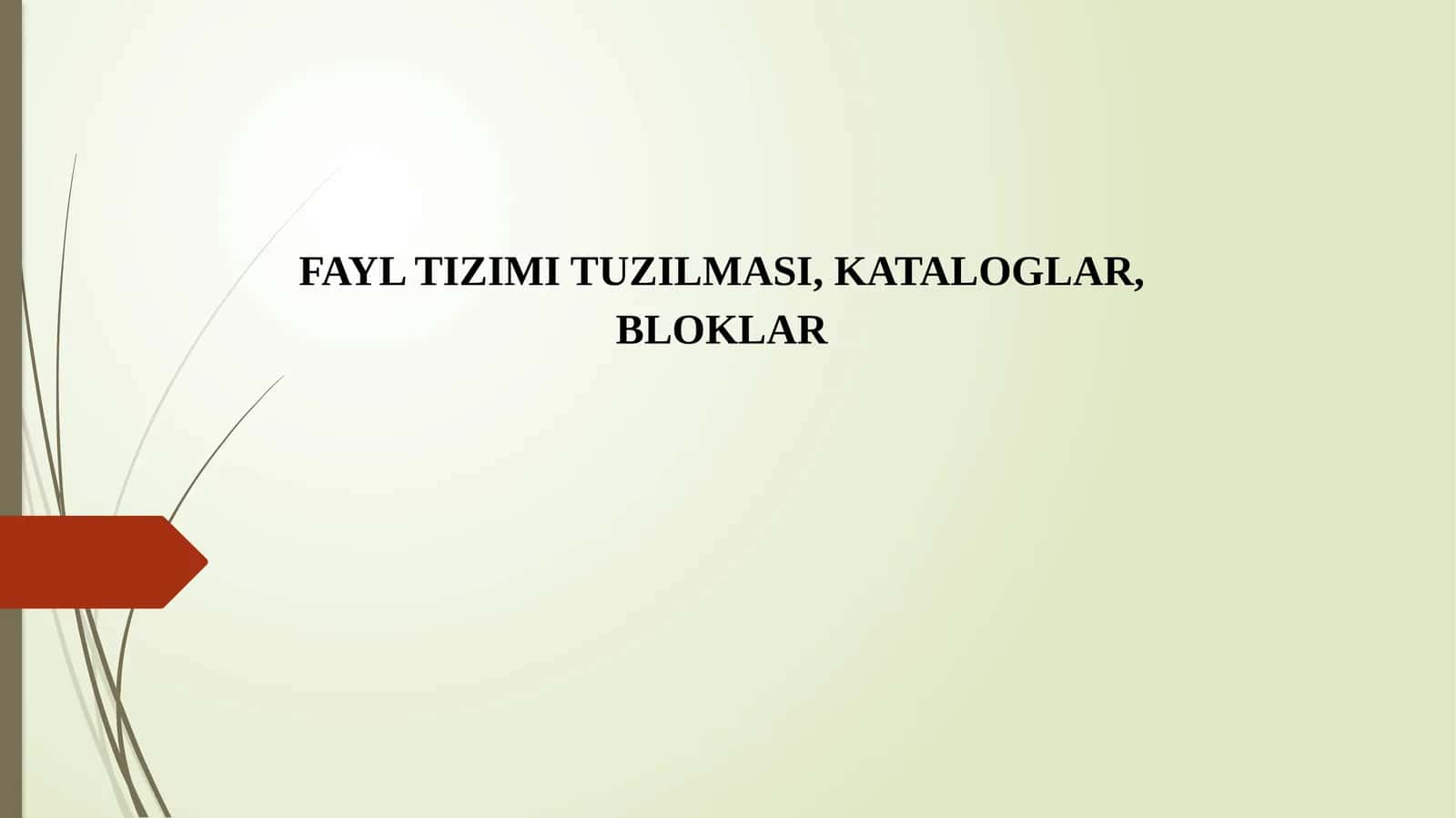 FAYL TIZIMI TUZILMASI, KATALOGLAR, BLOKLAR