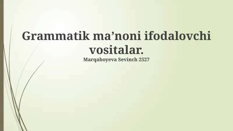 Grammatik ma’noni ifodalovchi vositalar