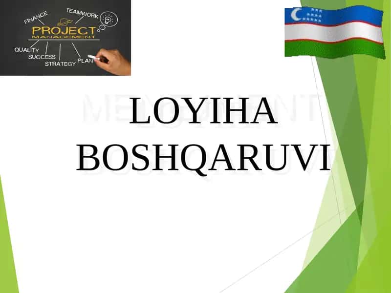 LOYIHA BOSHQARUVI
