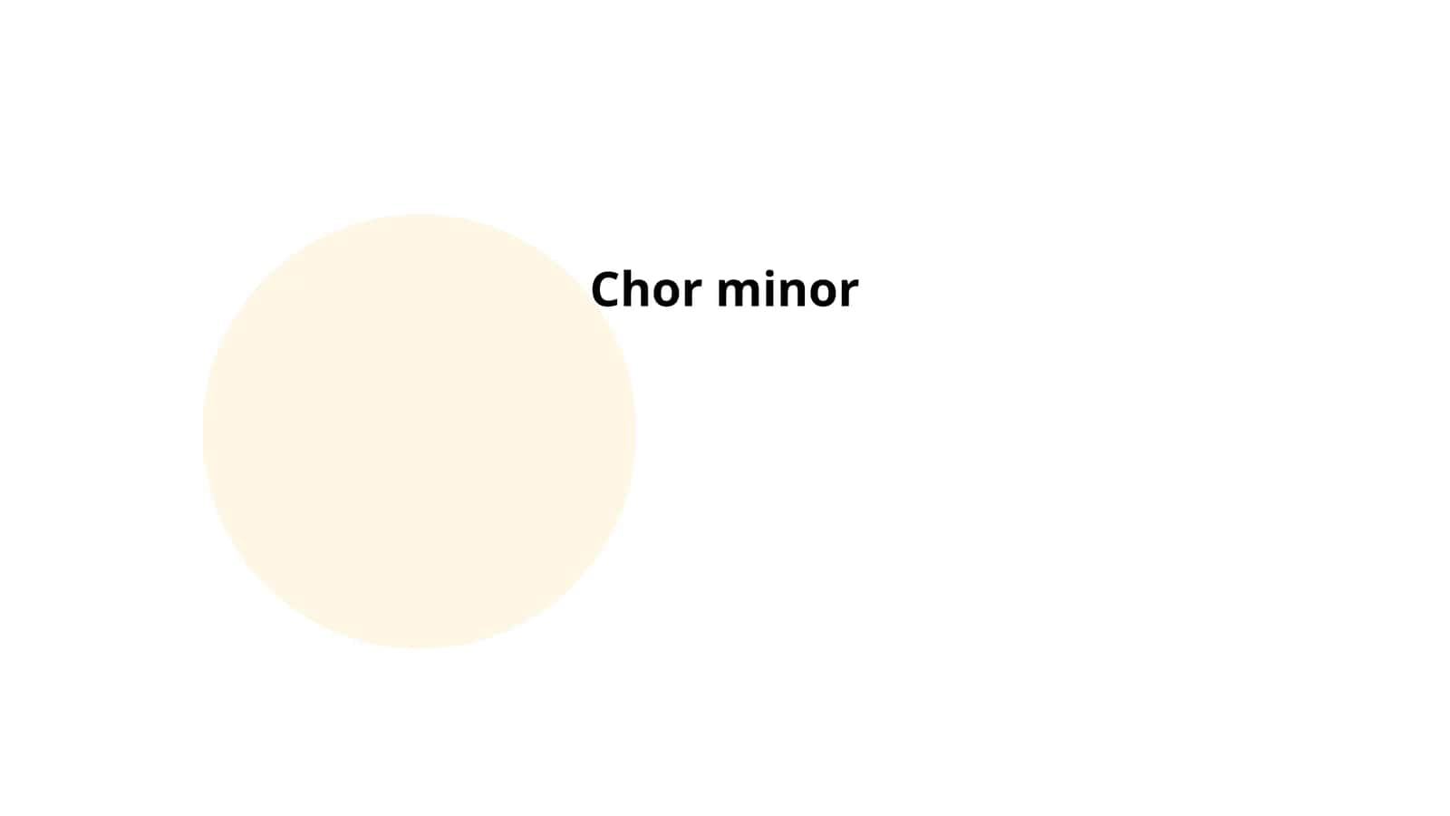Chor Minor