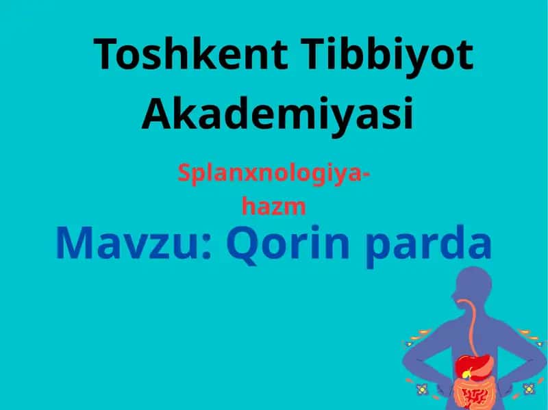 Hazm sistemasi qorin parda