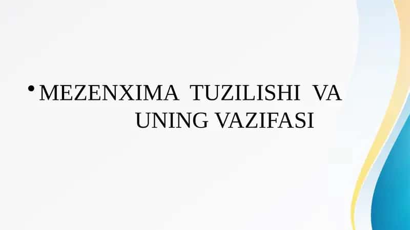 MEZENXIMA TUZILISHI VA UNING VAZIFASI