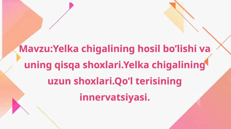Yelka chigalining hosil bo'lishi va uning qisqa shoxlari.Yelka chigalining uzun shoxlari.Qo'l terisining innervatsiyasi.