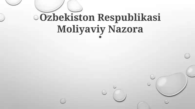 Ozbekiston Respublikasi Moliyaviy Nazora
