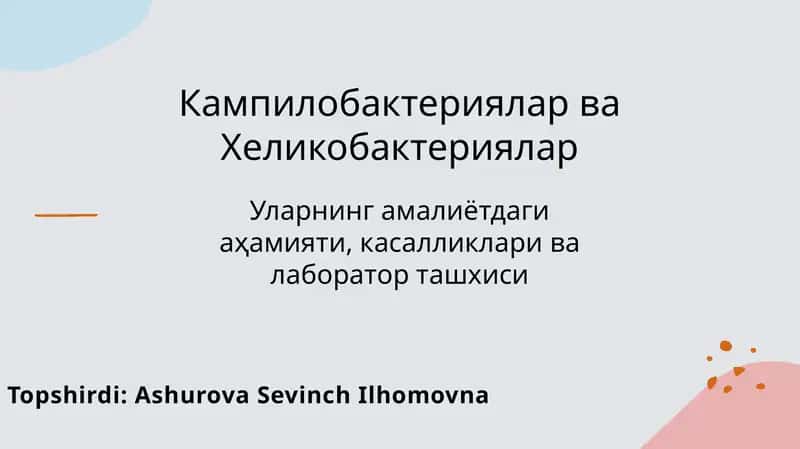 Кампилобактериялар ва Хеликобактериялар