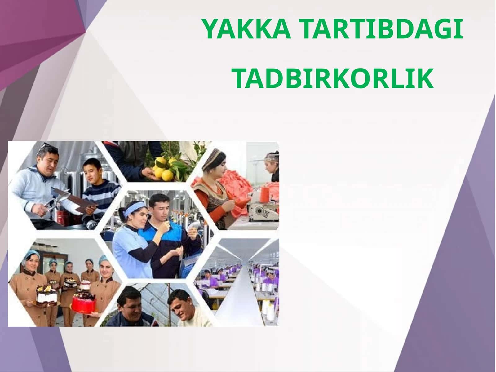 11-sinf Tadbirkorlik asoslari fanidan Yakka tartibdagi tadbirkorlik