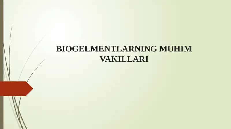 BIOGELMENTLARNING MUHIM VAKILLARI