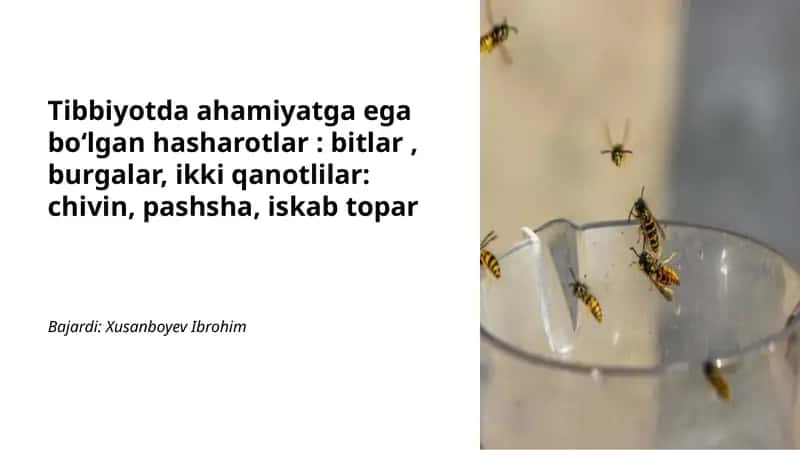 Bitlar va ularning oʻzaro aloqalari