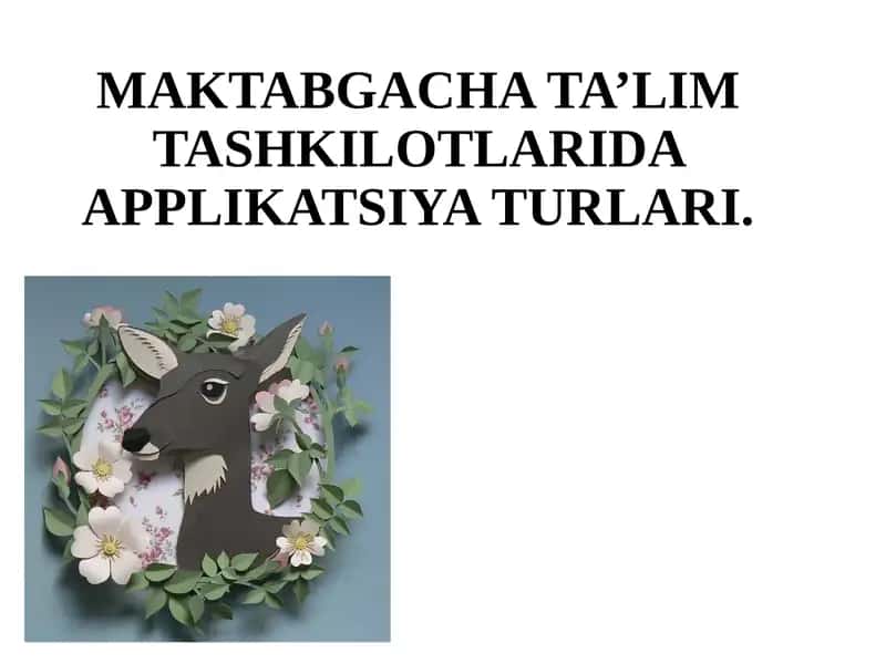 MAKTABGACHA TA’LIM TASHKILOTLARIDA APPLIKATSIYA TURLARI
