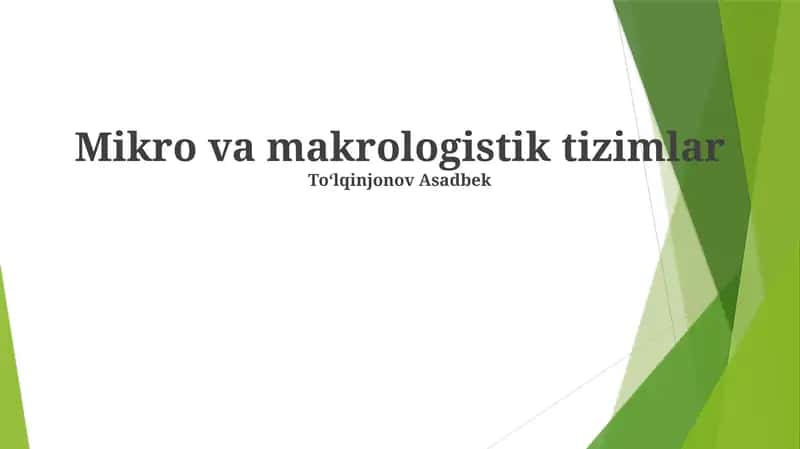 Mikro va makrologistik tizimlar