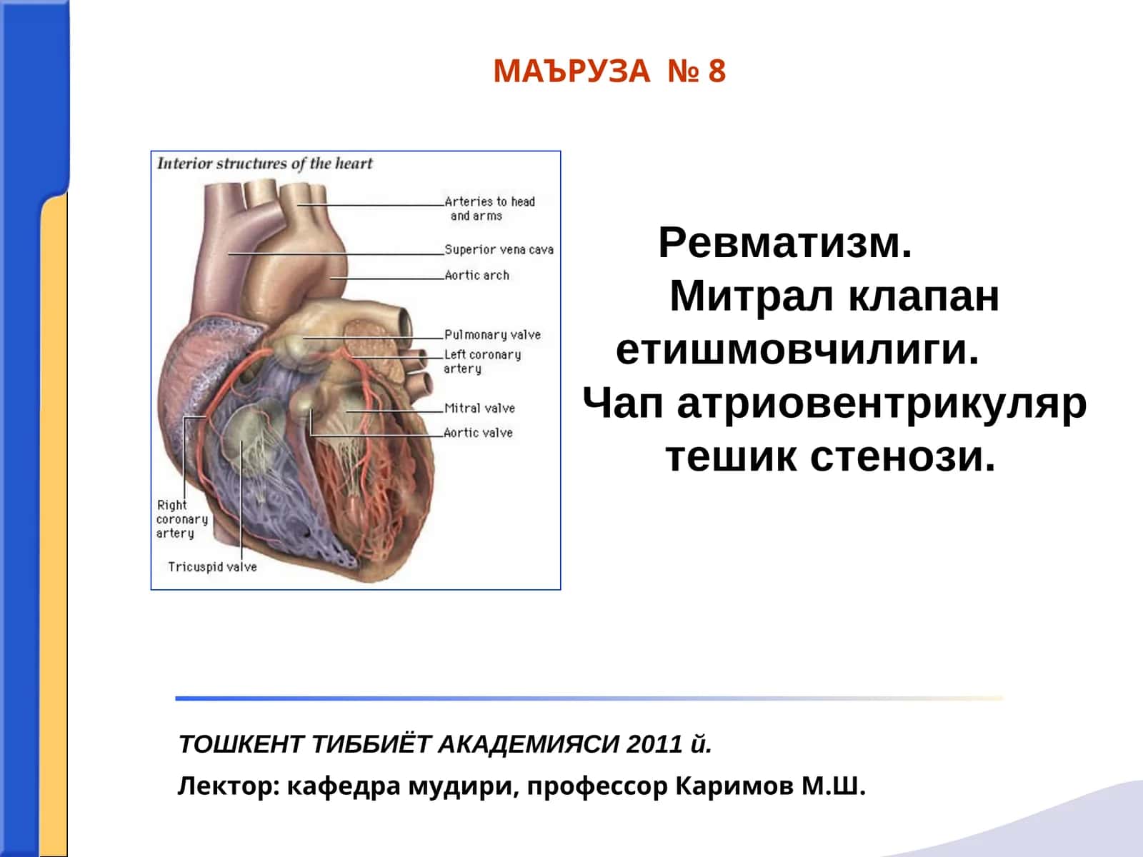Ревматизм.Митрал клапан етишмовчилиги. Чап атриовентрикуляр тешик стенози