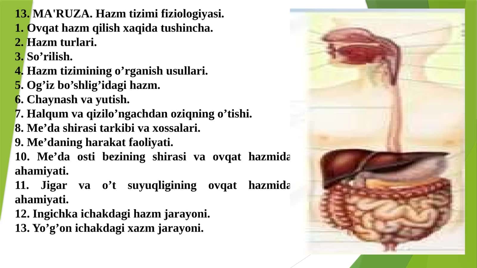 MA'RUZA. Hazm tizimifiziologiyasi