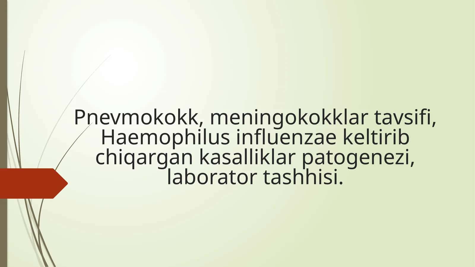 Pnevmokokklar tavsifi