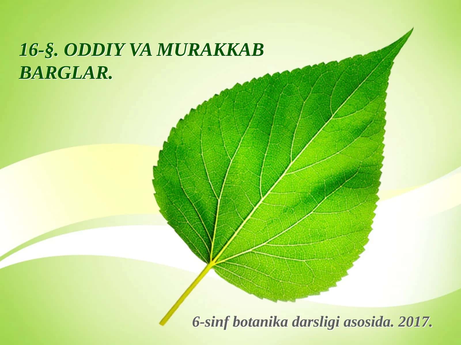 6-sinf Botanika Oddiy va murakkab barglar