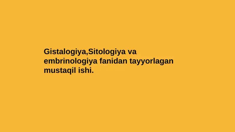Tam bilish idroki