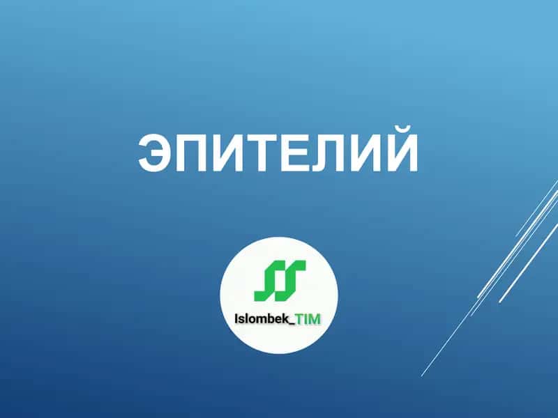 Эпителий