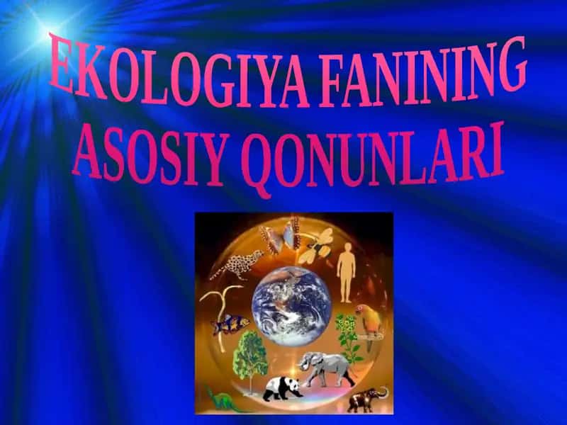 Ekologiya Faniningasosiy Qonunlari