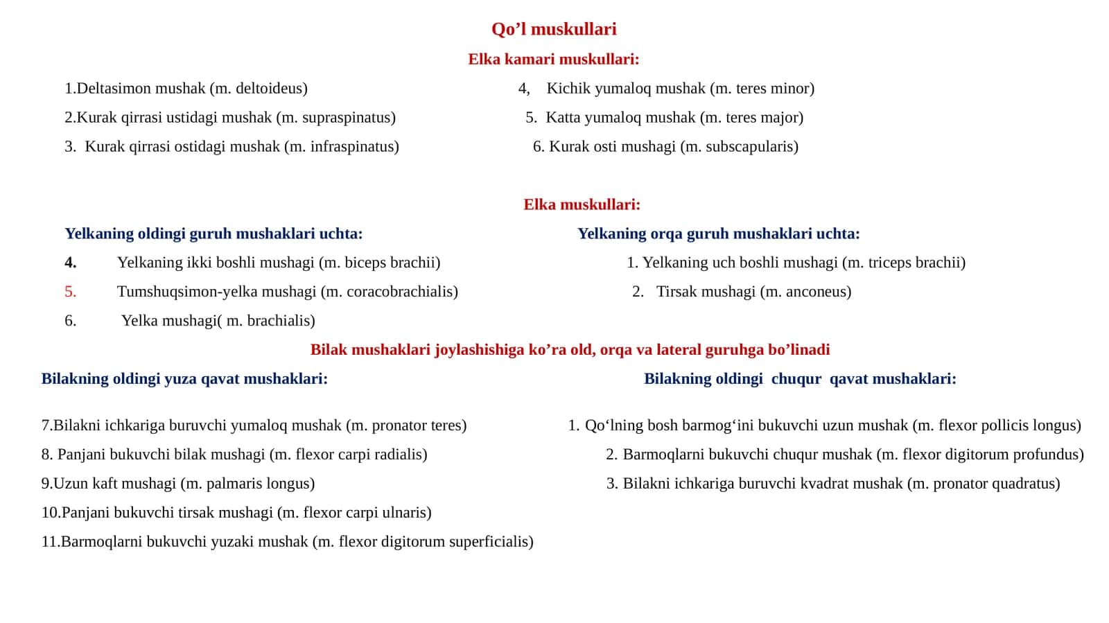 Qo’lmuskullari