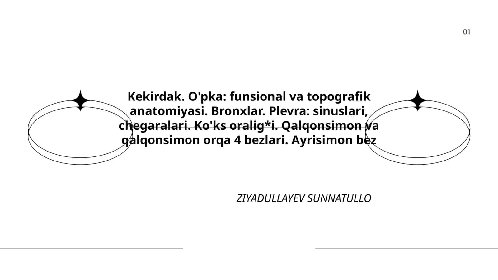 Kekirdak. O'pka: funsional va topografik anatomiyasi