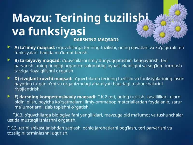Terining tuzilishi va funksiyasi