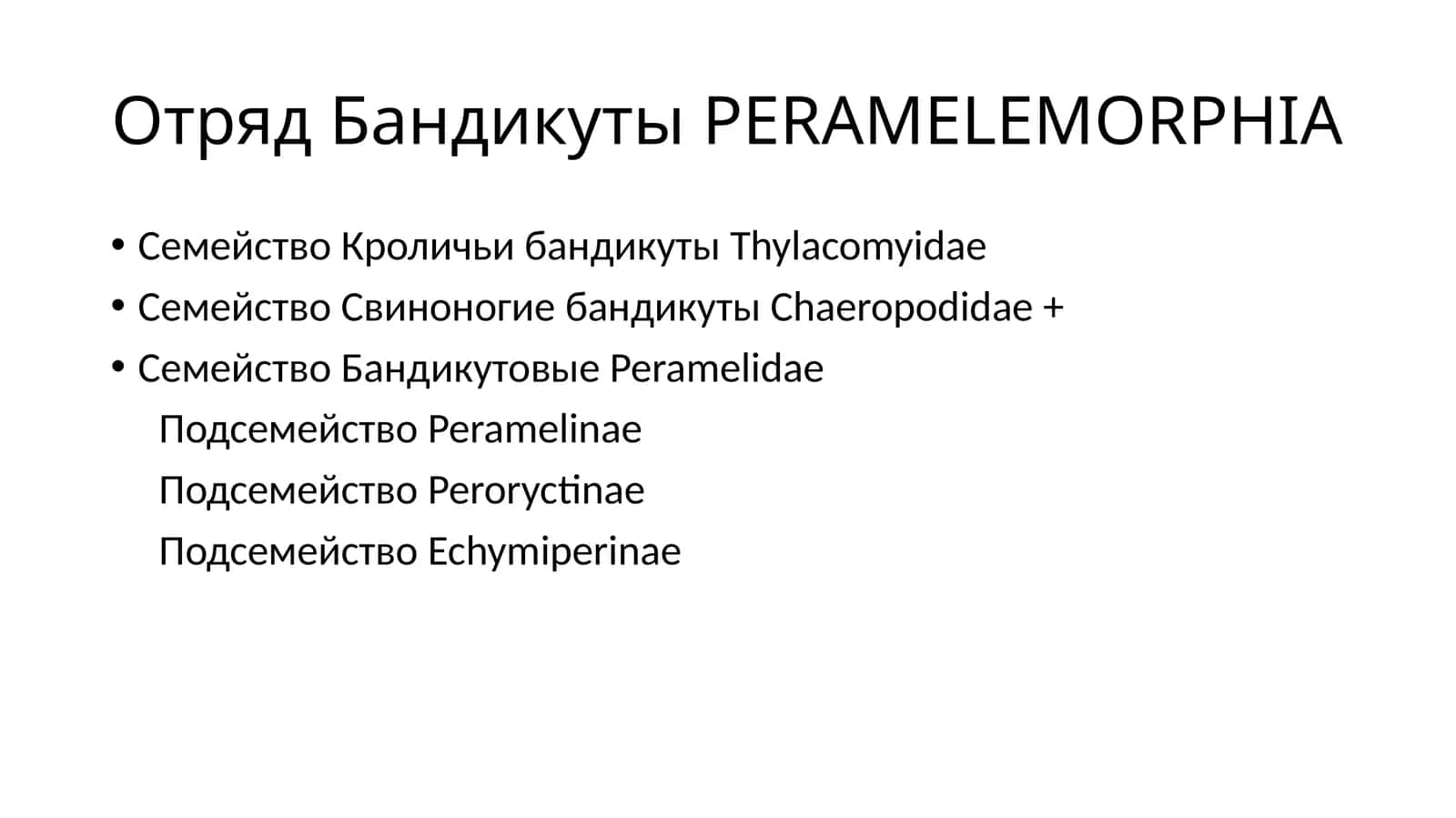 Отряд Бандикуты PERAMELEMORPHIA