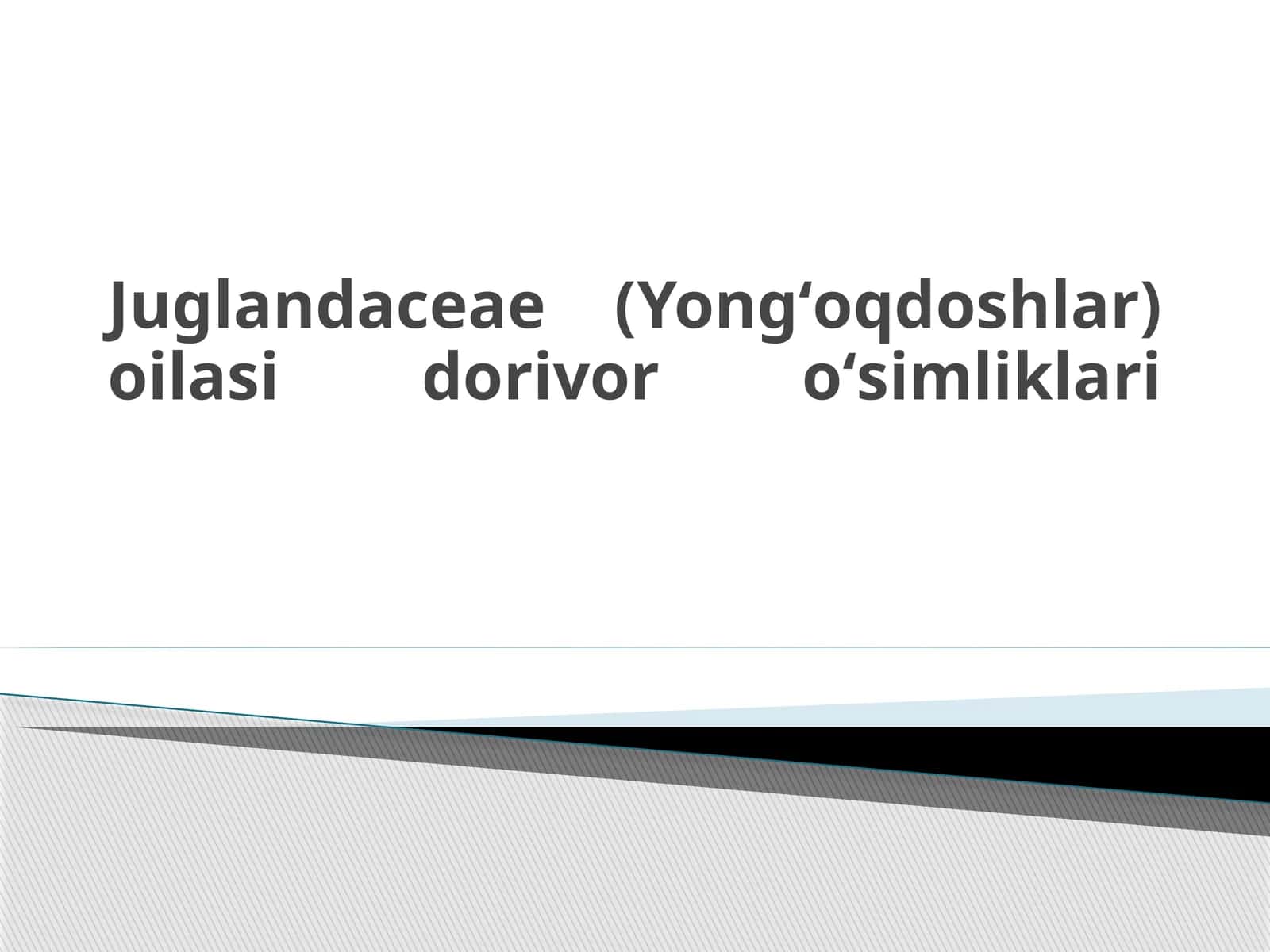 Yongʻoqdoshlar oilasi