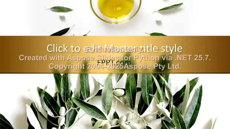 Presentation Design Templates