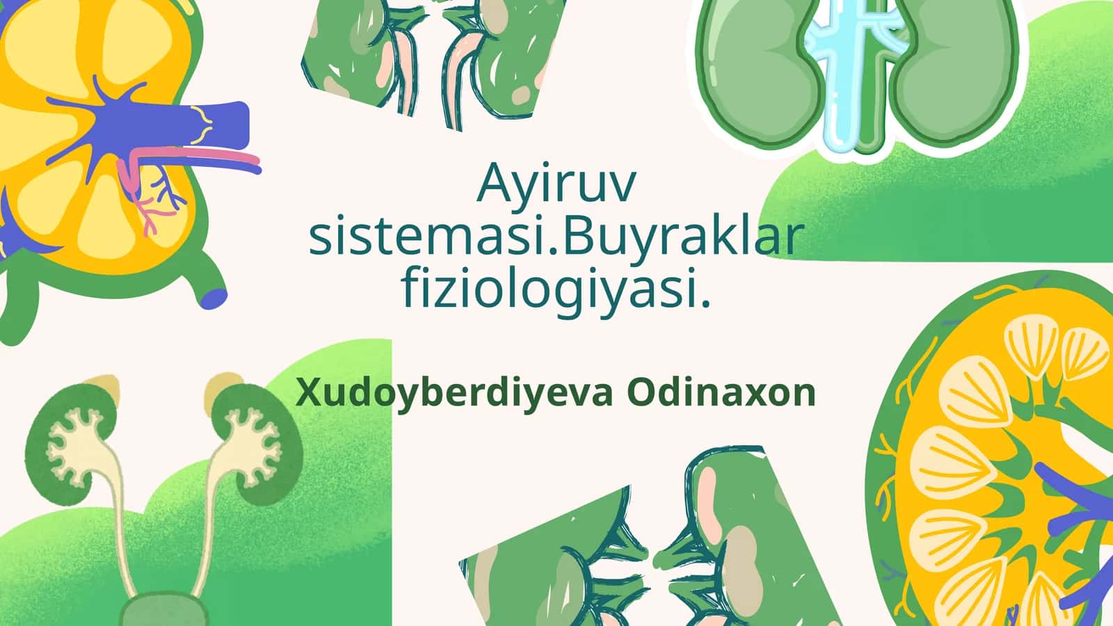 Ayiruv sistemasi.Buyraklar fiziologiyasi