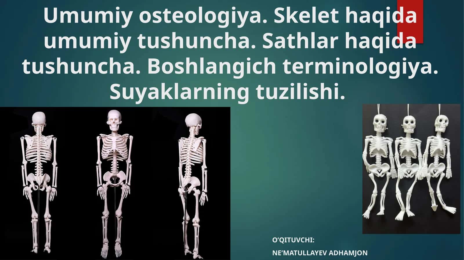 Umumiyosteologiya.Skelethaqidaumumiytushuncha.Sathlarhaqidatushuncha.Boshlangichterminologiya.Suyaklarningtuzilishi