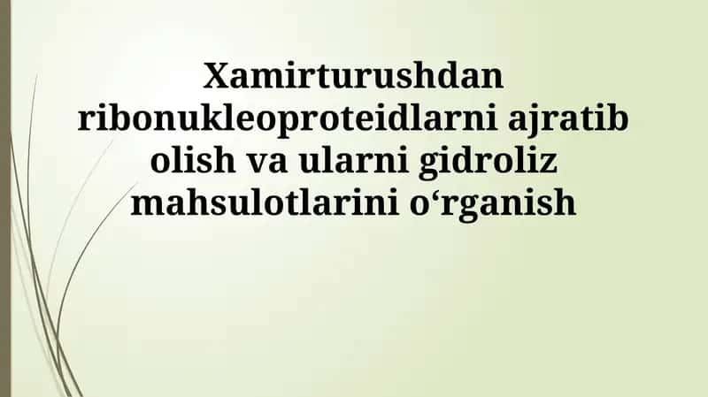 Ribonukleoproteinlarning Gidrolizi: Usullari va Mahsulotlarini Tahlil Qilish