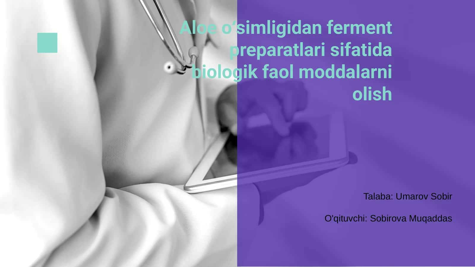 Aloe oʻsimligidan ferment preparatlari sifatida biologik faol moddalarni olish