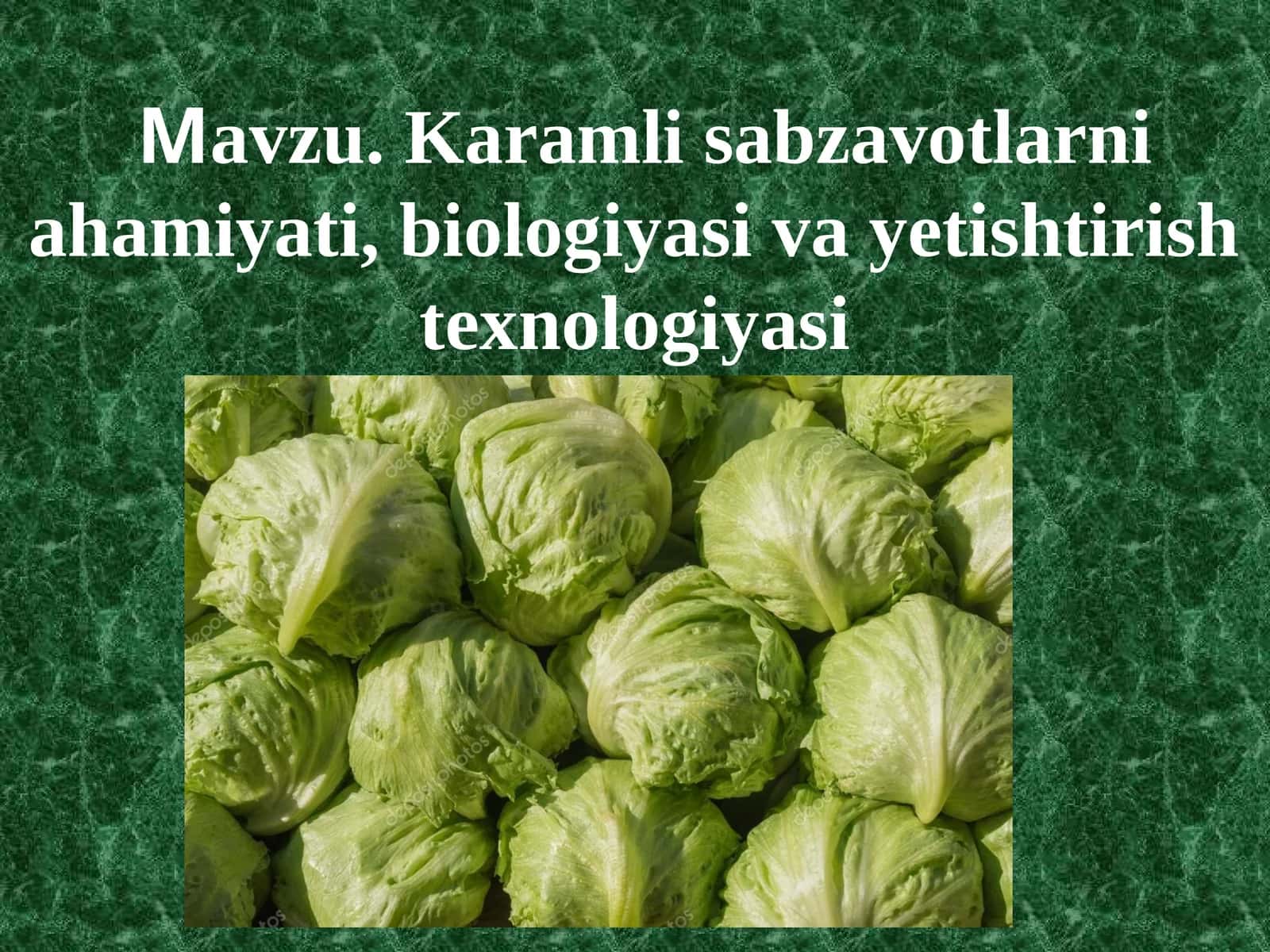 Karamli sabzavotlarni ahamiyati, biologiyasi va yetishtirish texnologiyasi