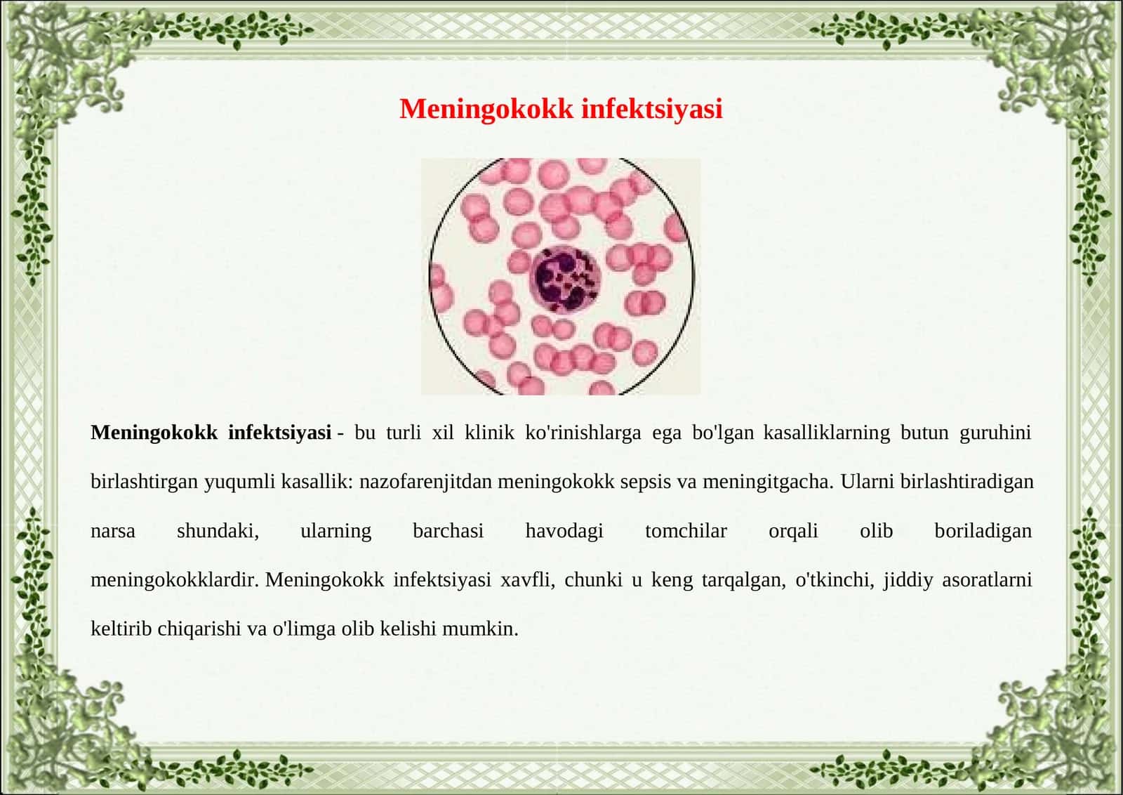 Meningokokk