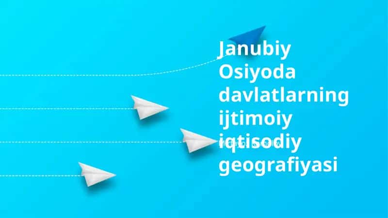 Janubiy Osiyoda davlatlarning ijtimoiy iqtisodiy geografiyasi