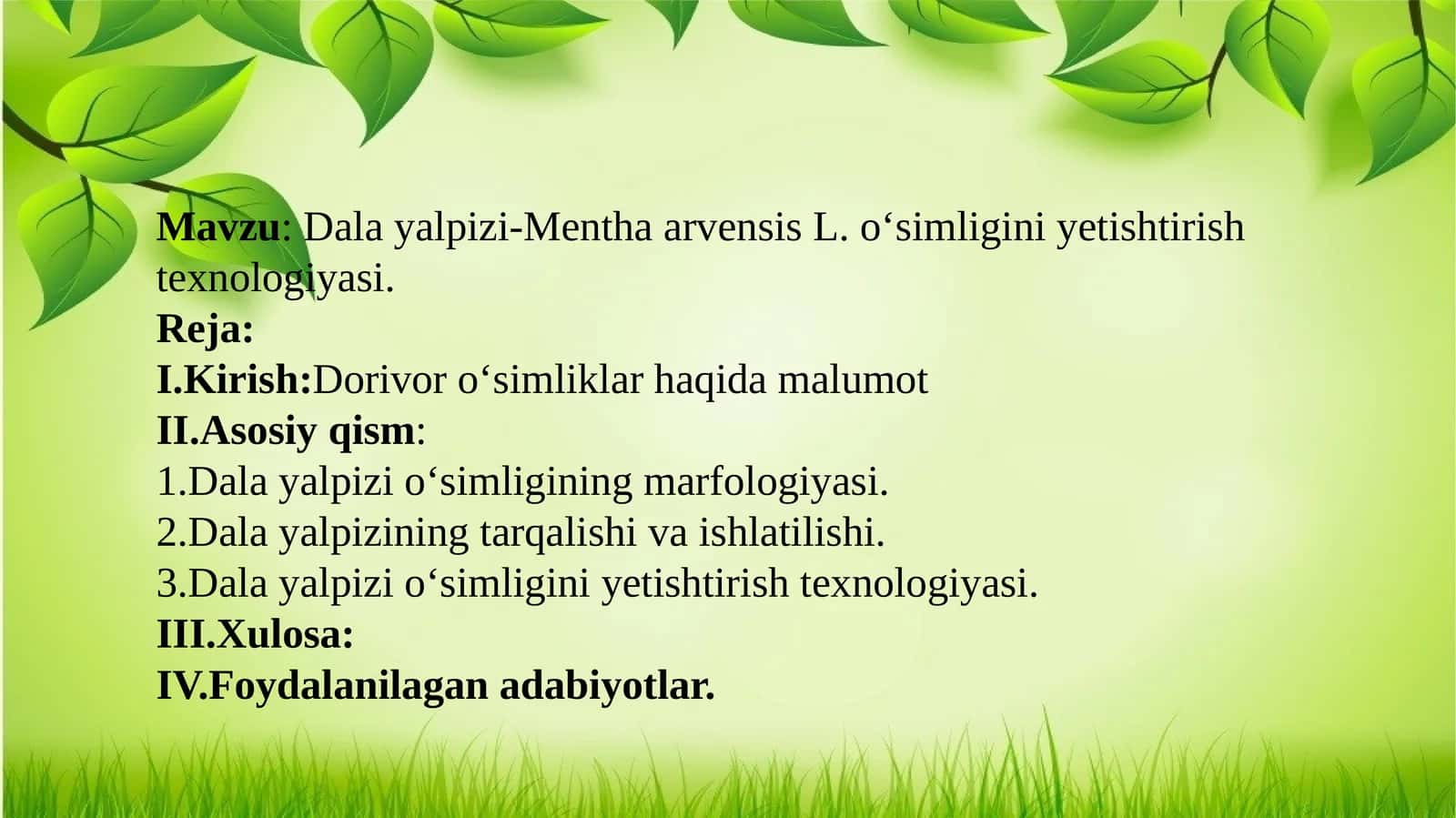 Dala yalpizi-Mentha arvensis L. oʻsimligini yetishtirish texnologiyasi
