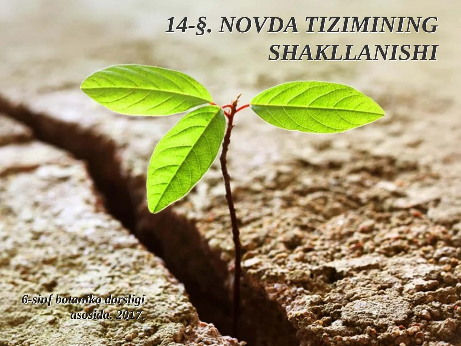 6-sinf Botanika Novda tizimimg shakllanishi